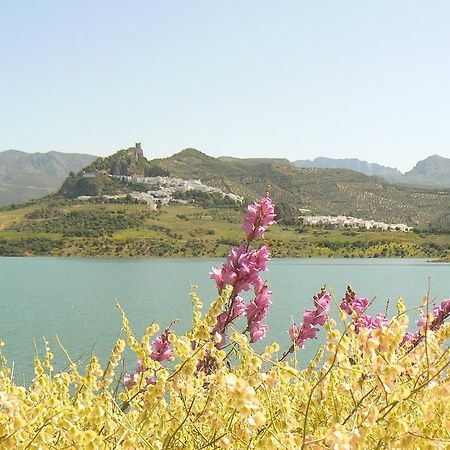 Casa Rural-Apartamento El Lebrillero Zahara De La Sierra Εξωτερικό φωτογραφία